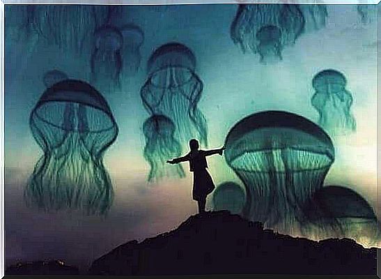 Person among jellyfish