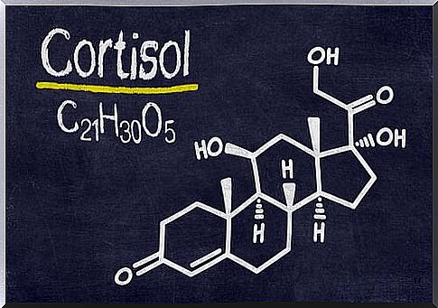 Cortisol - the body's stress hormone