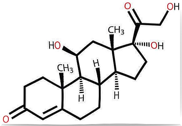 Cortisol as a chemical formula