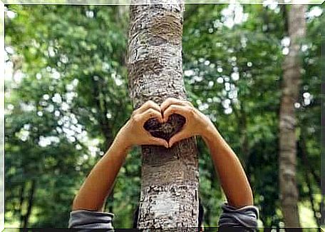 Heart shaped hands on tree