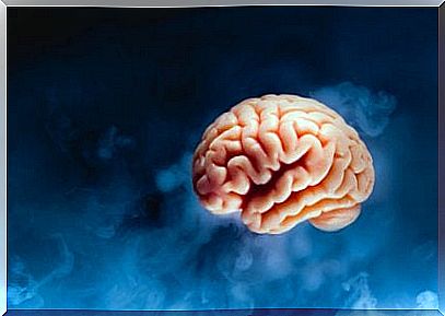 Brain against blue background.