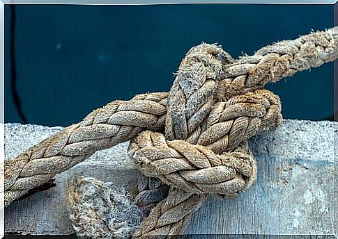 Rope