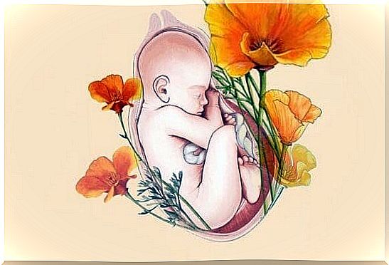 Baby in the womb with flowers