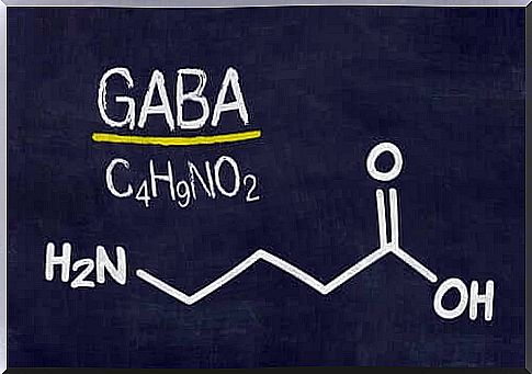 GABA is secreted in the midbrain