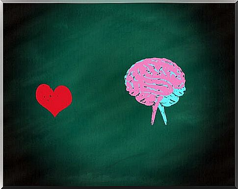 Brain or heart